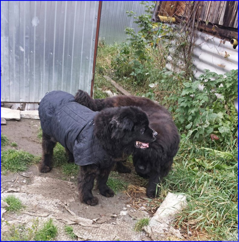 Фотография № 192935