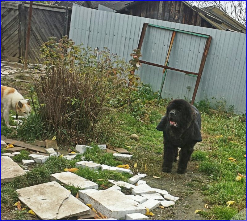 Фотография № 192939