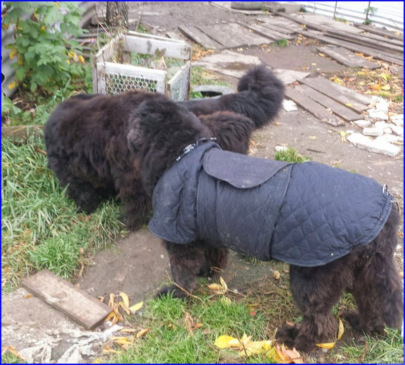 Фотография № 192940