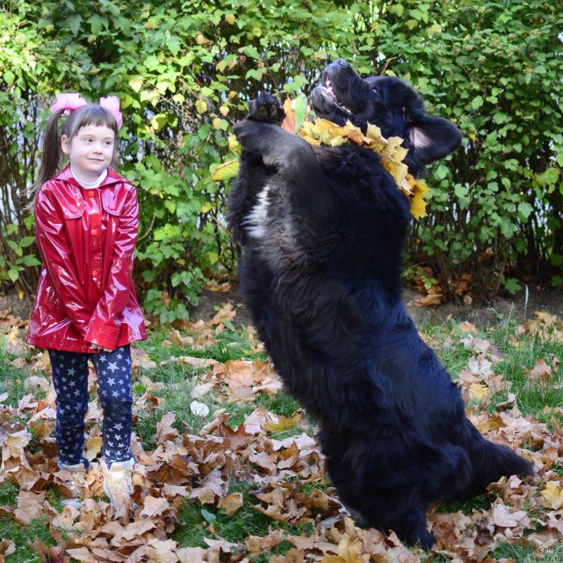 Фотография № 192943