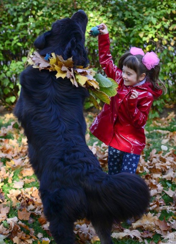 Фотография № 192944