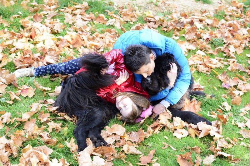 Фотография № 192951