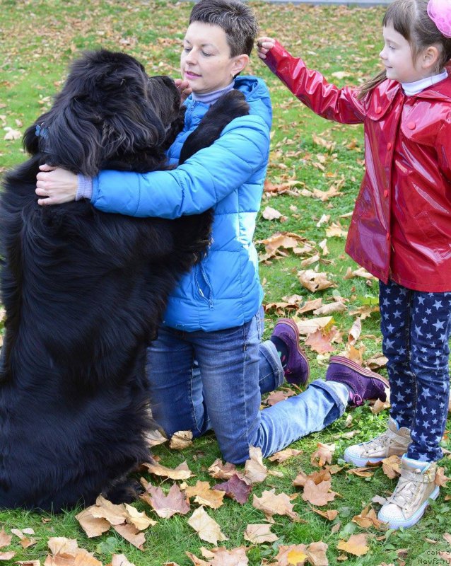 Фотография № 192952