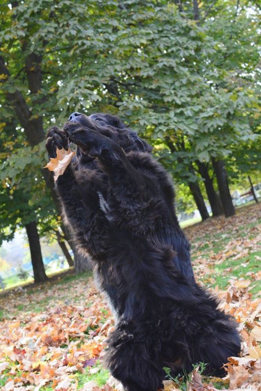 Фотография № 192954