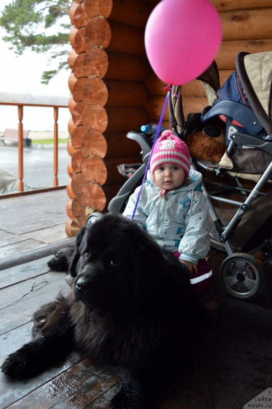 Фотография № 192959