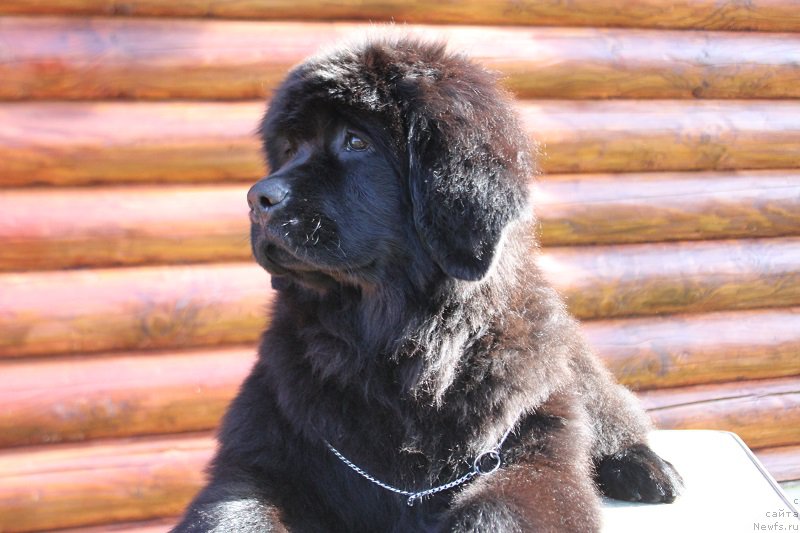 Фото: Наталья Смазчикова