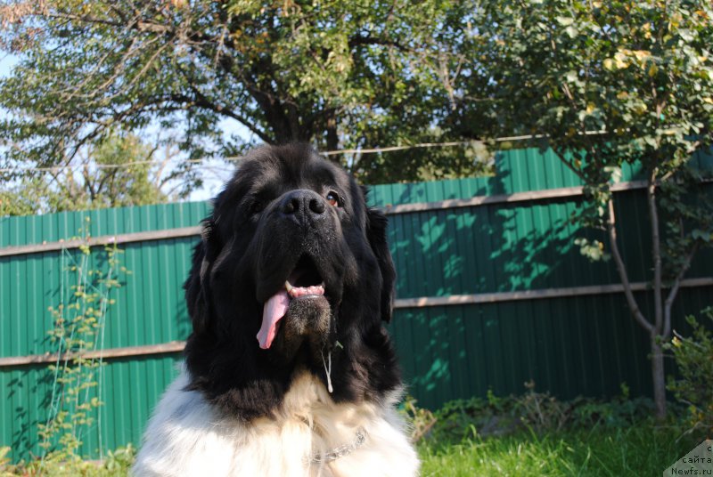 Фотография № 192997