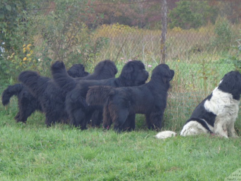 Фото: коллектив