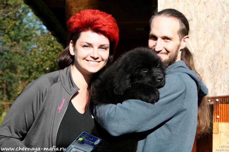 Фото: ньюфаундленд Черная Мафия Аттрактиве Повер (Chernaya Mafia Attractive Power)