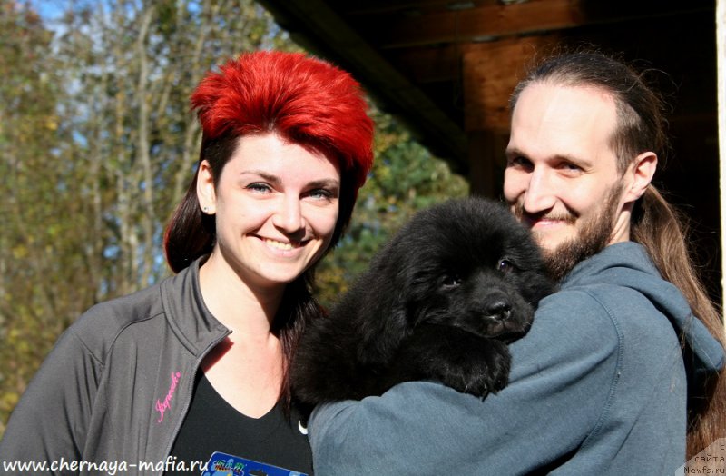 Фото: ньюфаундленд Черная Мафия Аттрактиве Повер (Chernaya Mafia Attractive Power)