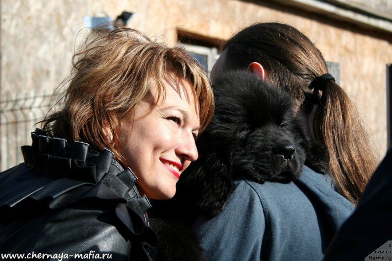 Фото: ньюфаундленд Черная Мафия Аттрактиве Повер (Chernaya Mafia Attractive Power)