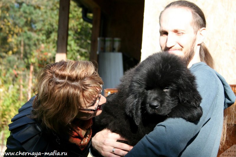 Фотография № 193033