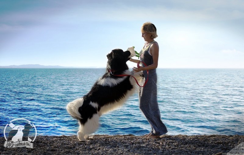 Фотография № 193041