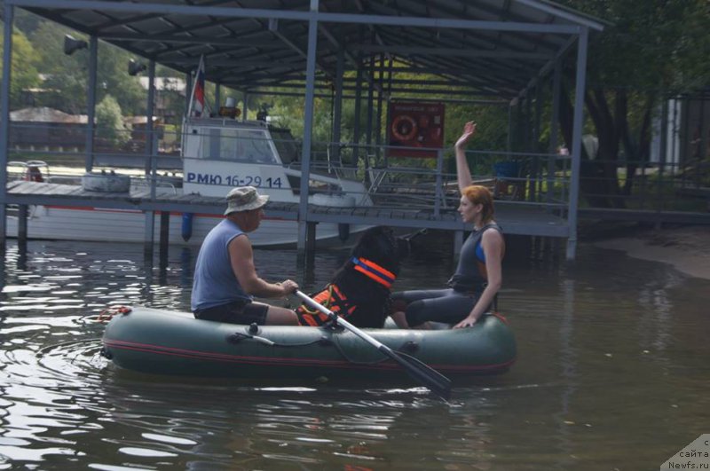 Фотография № 193044