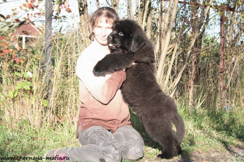 Фотография № 193098