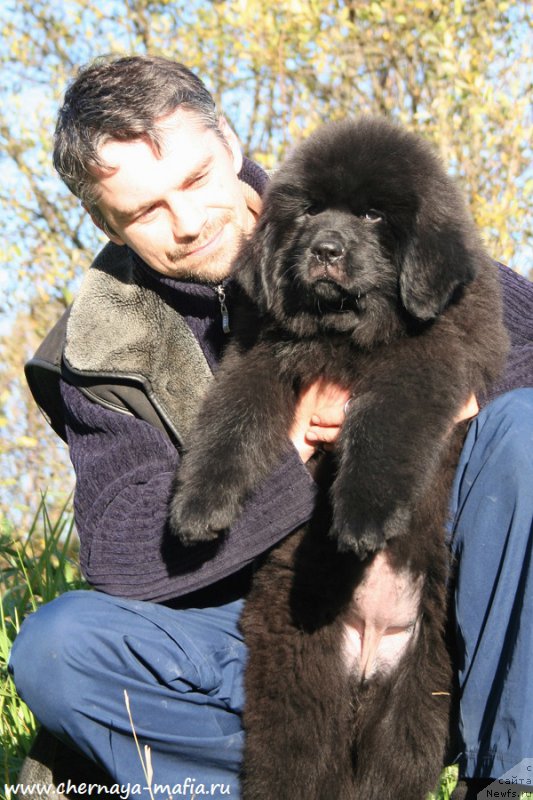 Фотография № 193099