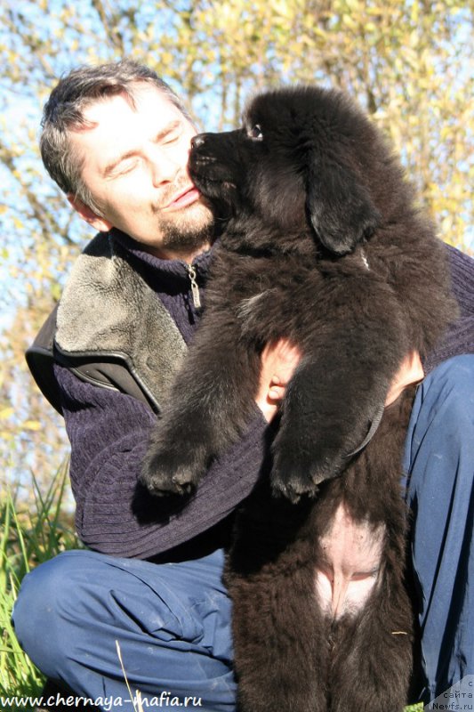 Фотография № 193100