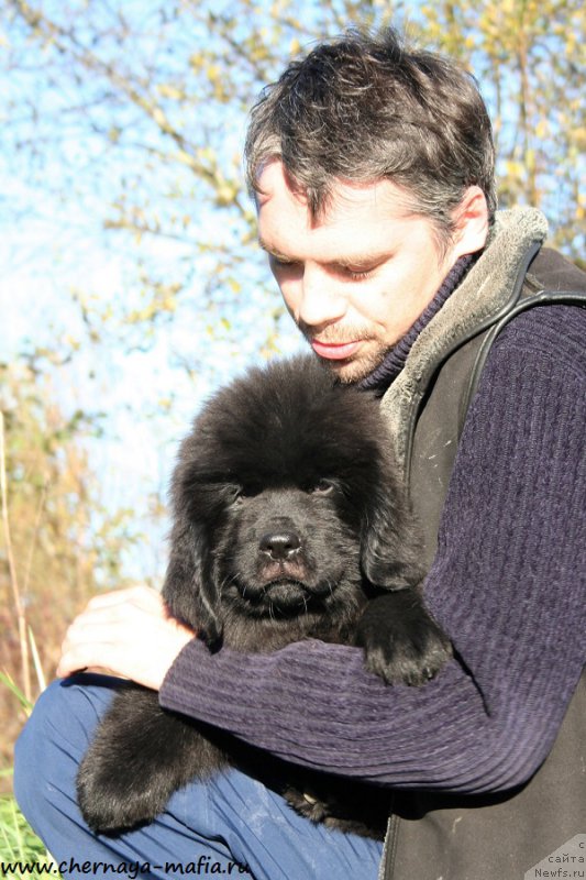 Фотография № 193102