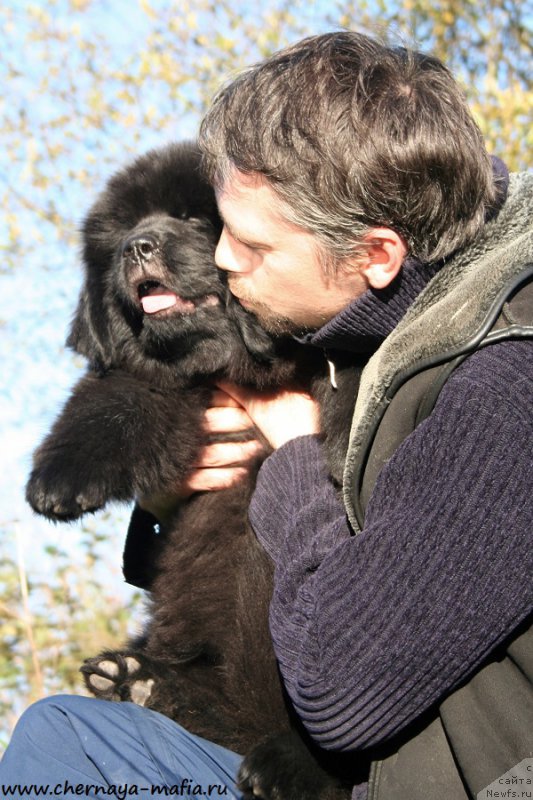 Фотография № 193104