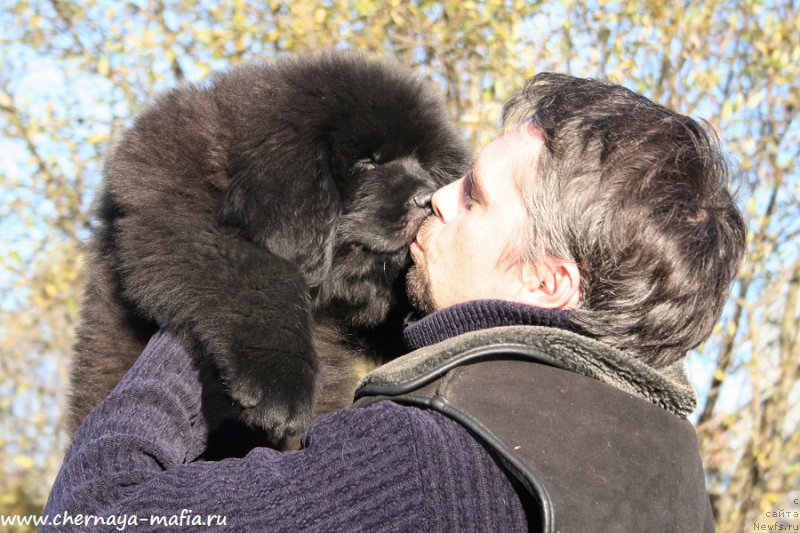 Фотография № 193105