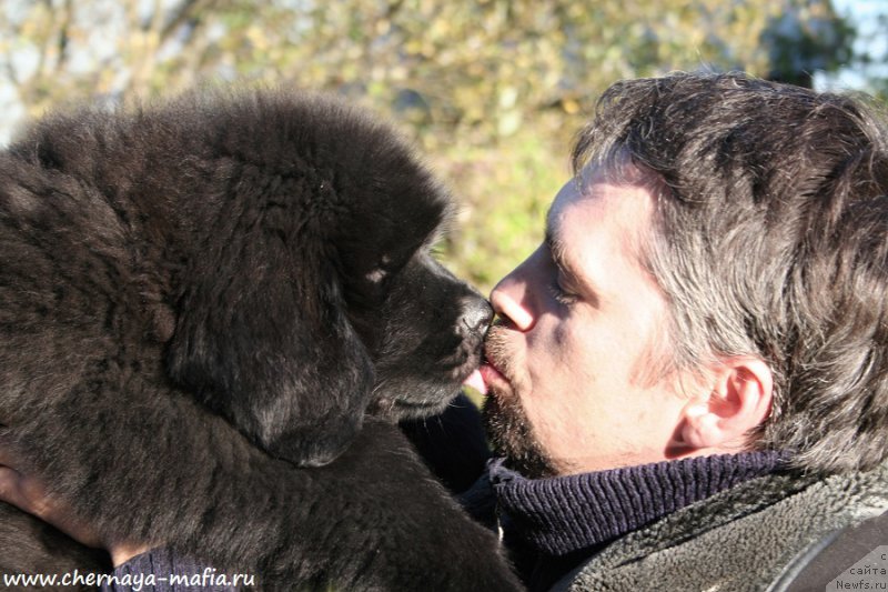 Фотография № 193106