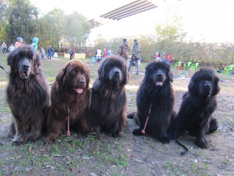 Фотография № 193107