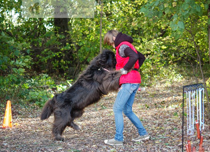 Фотография № 193116