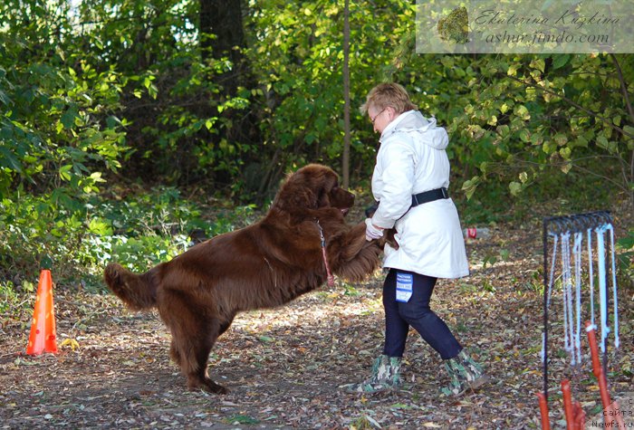 Фотография № 193117