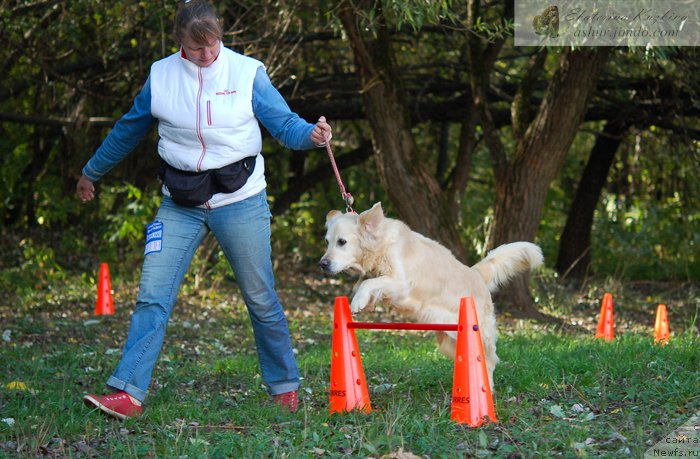 Фотография № 193118