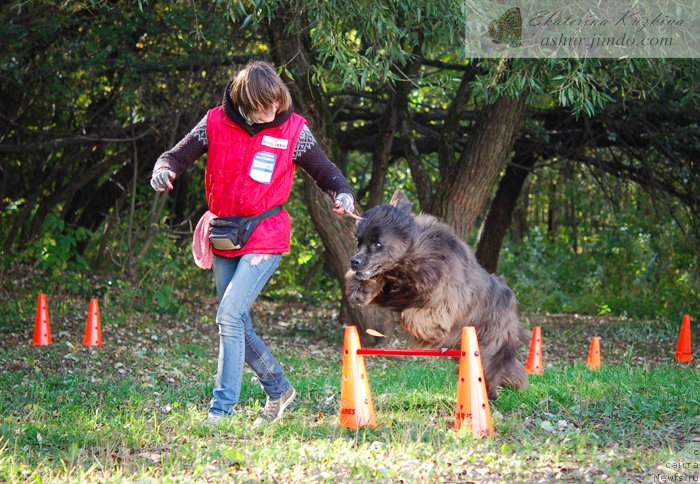 Фотография № 193119