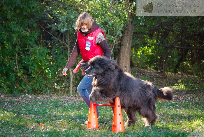 Фотография № 193120