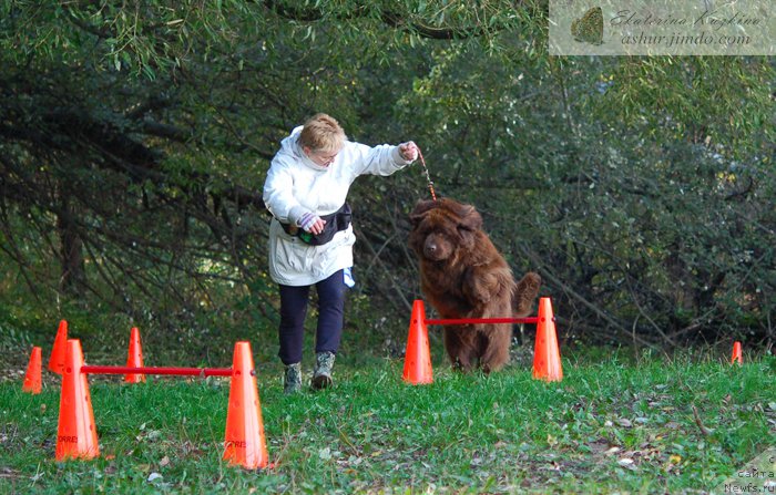 Фотография № 193122