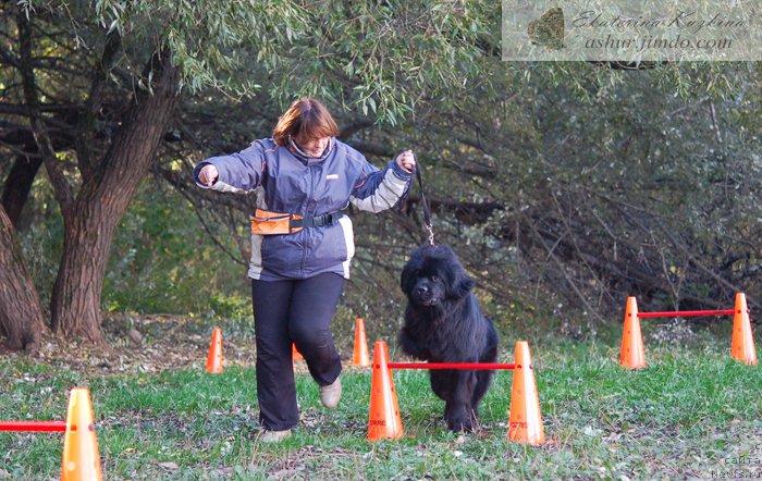 Фотография № 193123