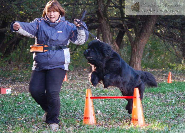 Фотография № 193124