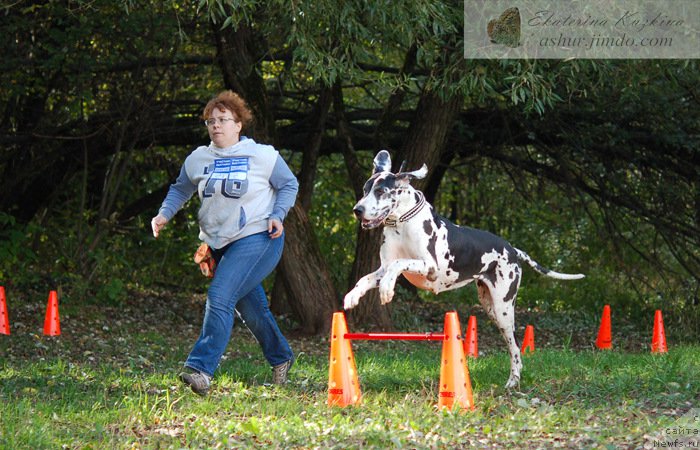 Фотография № 193125