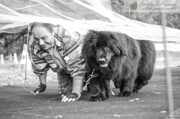 Фотография № 193126