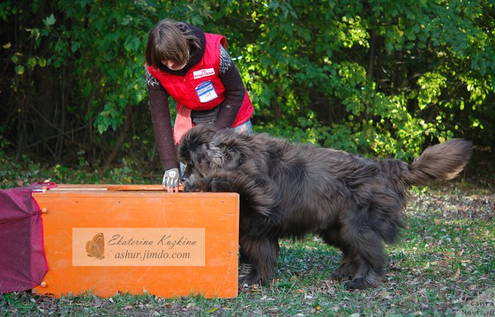 Фотография № 193127