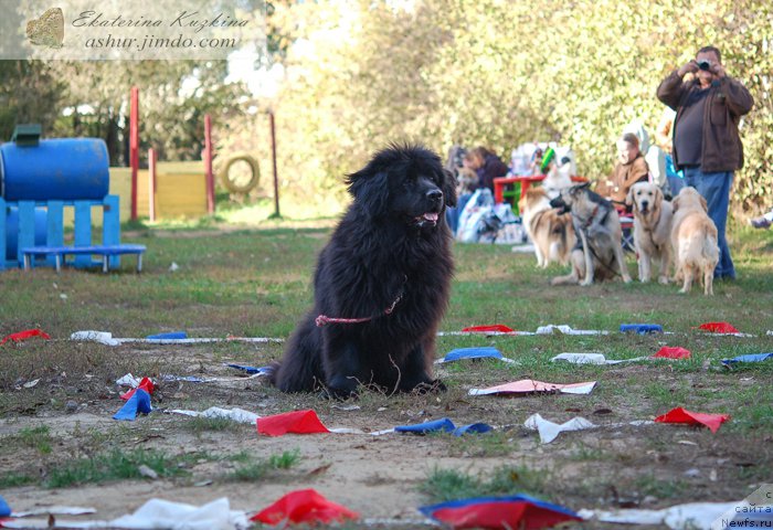 Фотография № 193128