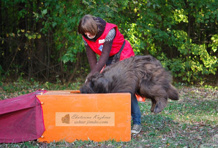 Фотография № 193129