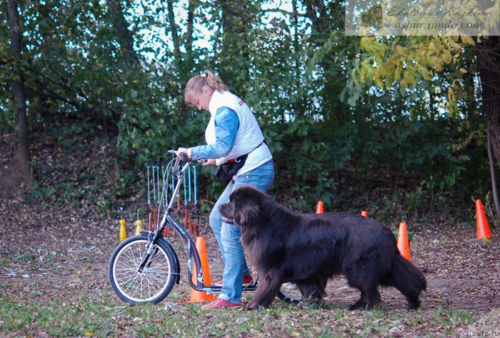 Фотография № 193131