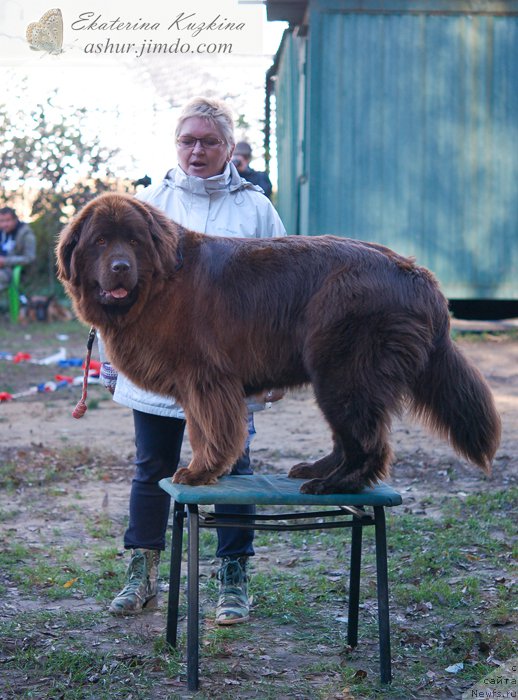 Фотография № 193132