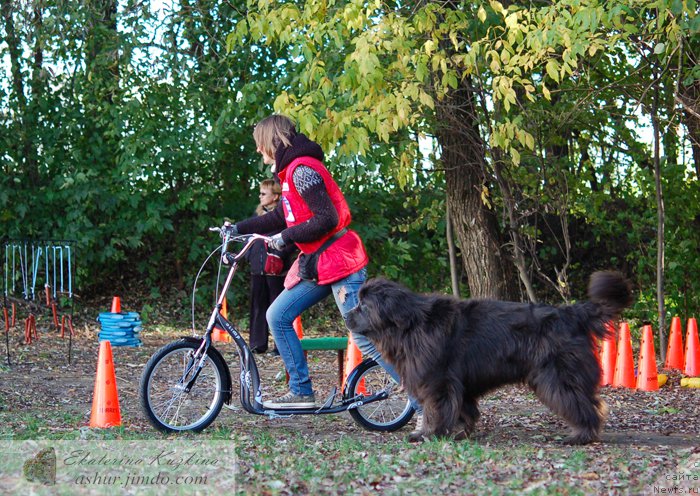 Фотография № 193133