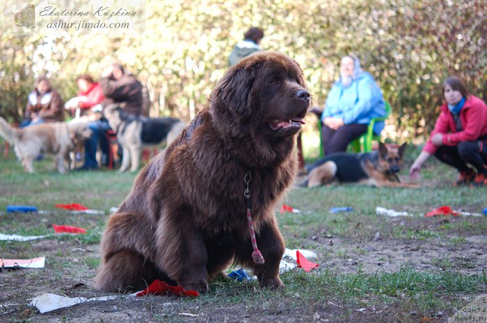 Фотография № 193134