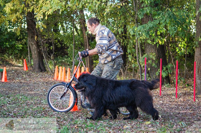 Фотография № 193135