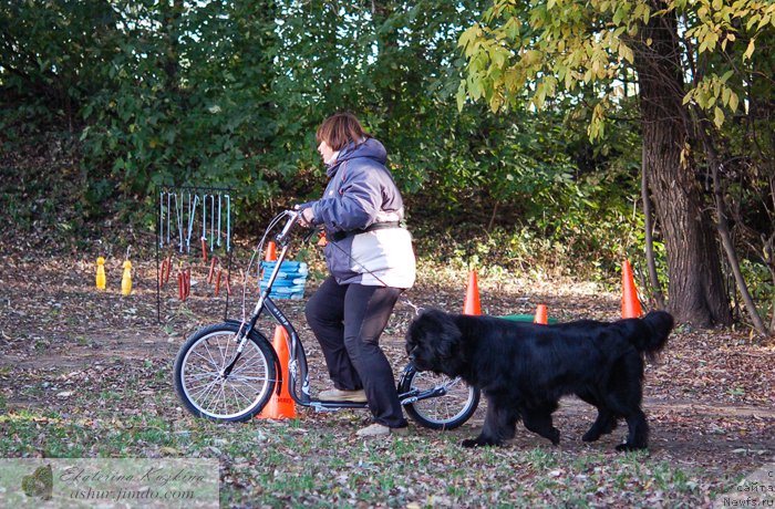 Фотография № 193136