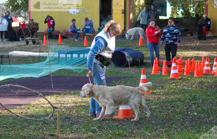 Фотография № 193137