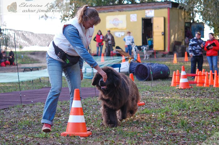 Фотография № 193138
