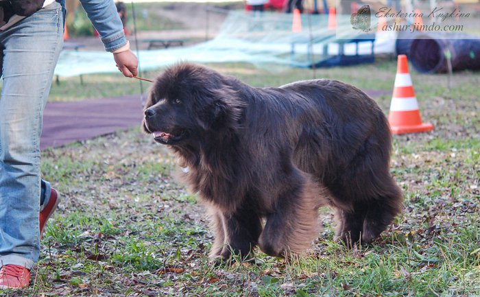 Фотография № 193139