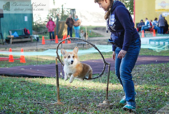 Фотография № 193140