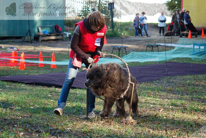 Фотография № 193141